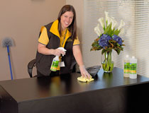 home cleaner sydney